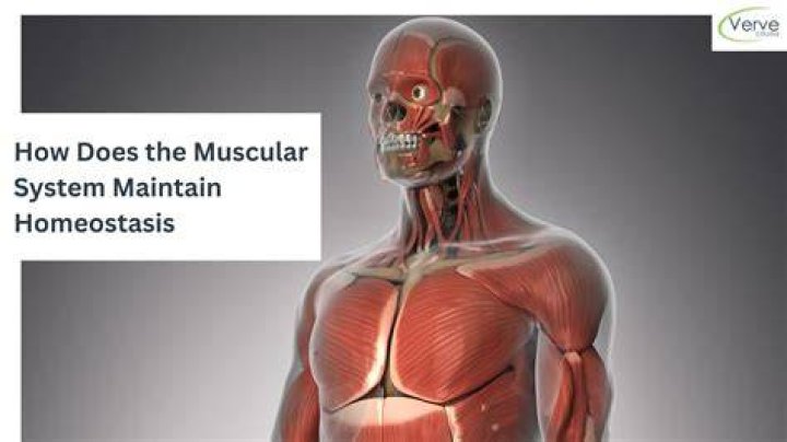 OFF DEFINI&Ccedil;&Atilde;O MUSCULAR Porque estraga qualquer um?! TOPICO VISUAL