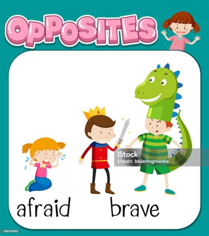 Opposite words for afraid and brave &mdash; Stock Vector &copy; blueringmedia
