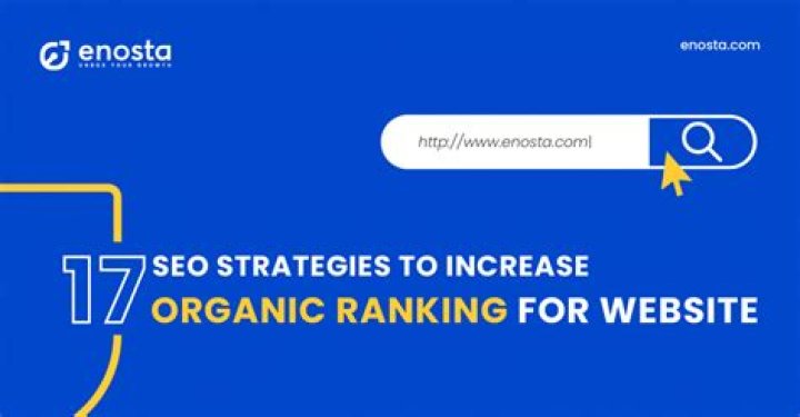 Organic Ranking What Is Organic Rank In Search Engines