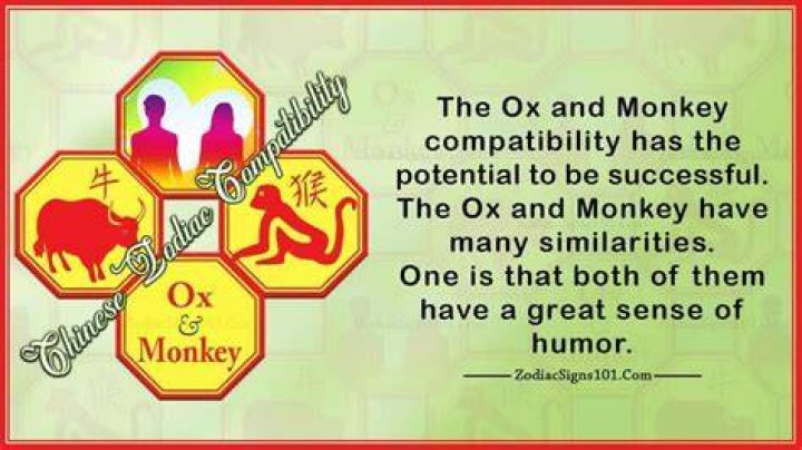 Ox Monkey Compatibility Practical Yet Rocky