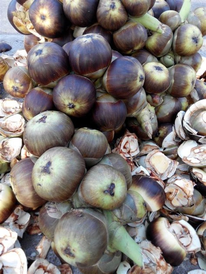 palm fruit or Ice apple, one of the most exotic fruit recipe of ice