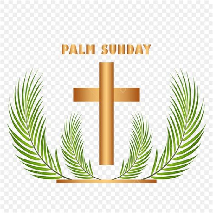Palm Sunday Vector Hd Images, Palm Sunday Png Images Download, Why Is
