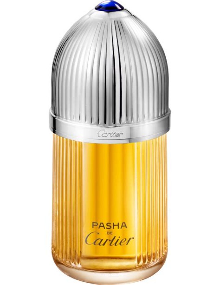 Pasha de Cartier Overhaul of the Collection 2020 With Rami Malek