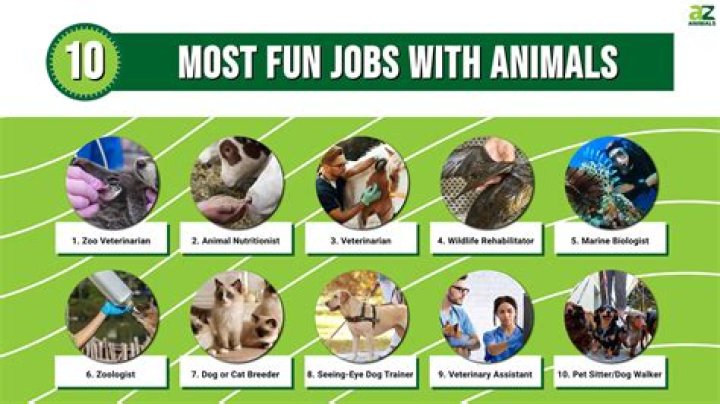 Passionate Pursuits: Exciting Careers For Animal Lovers