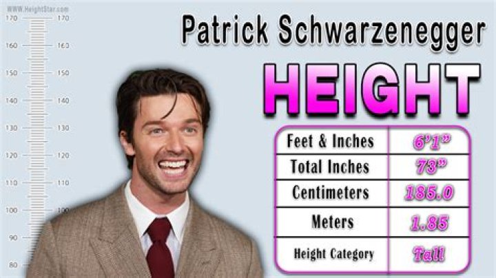 Patrick Stump`s height, weight. His body transformation