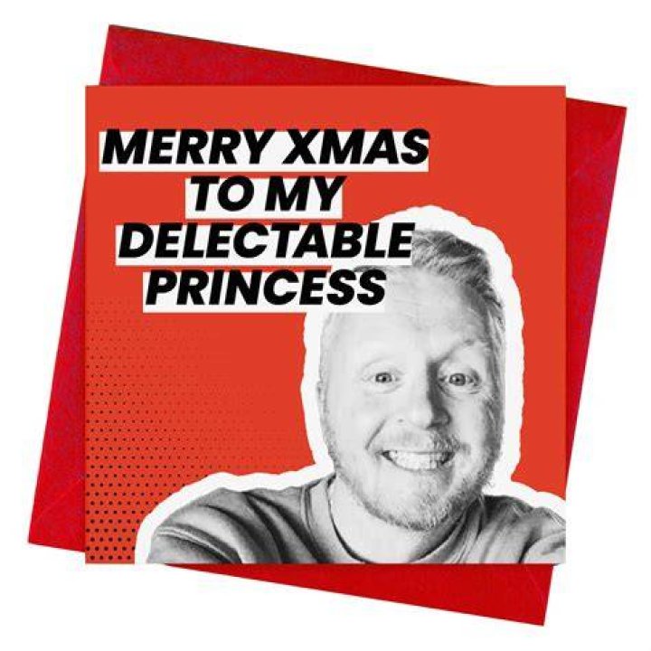 Paul Breach Merry Christmas to My Delectable Princess Etsy Canada