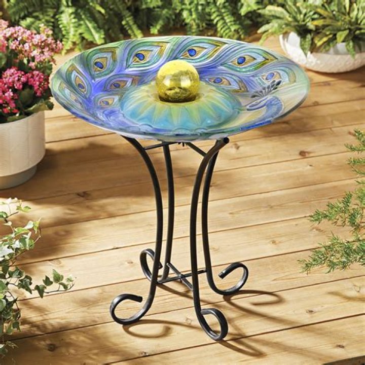 Peacock Decorative Bird Bath ALDI UK