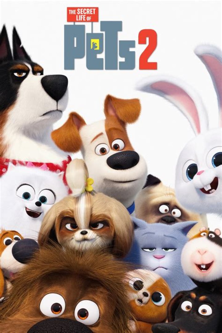 Pets Movie 2 Cast