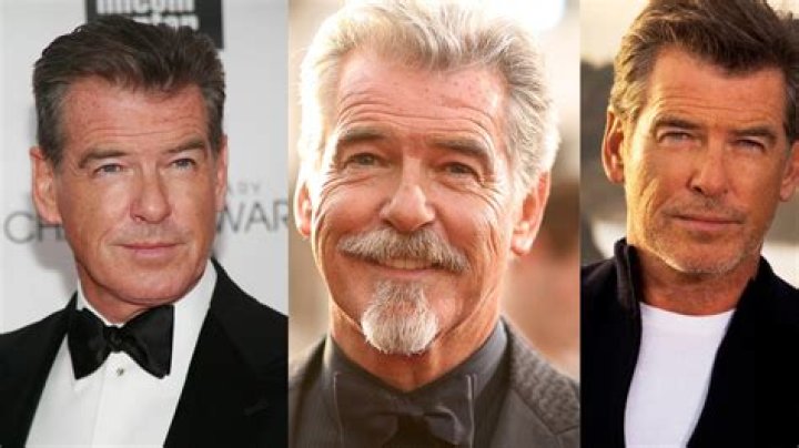 Pierce Brosnan Net Worth Bio Age Height Wiki Updated vrogue.co