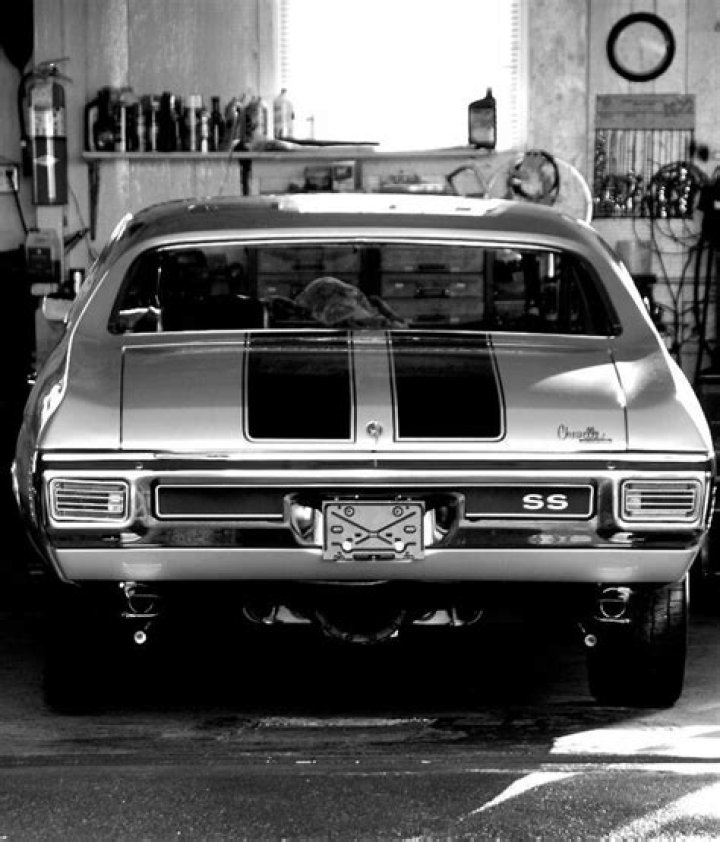 Pin by Che Torch on Barbara Roufs Racing girl, Drag racing cars, Drag