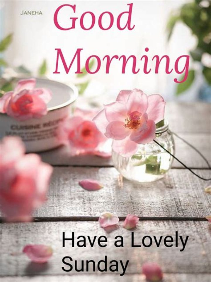 Pin de Vinayak Shetty en Good Morning Citas de la ma&ntilde;ana de domingo