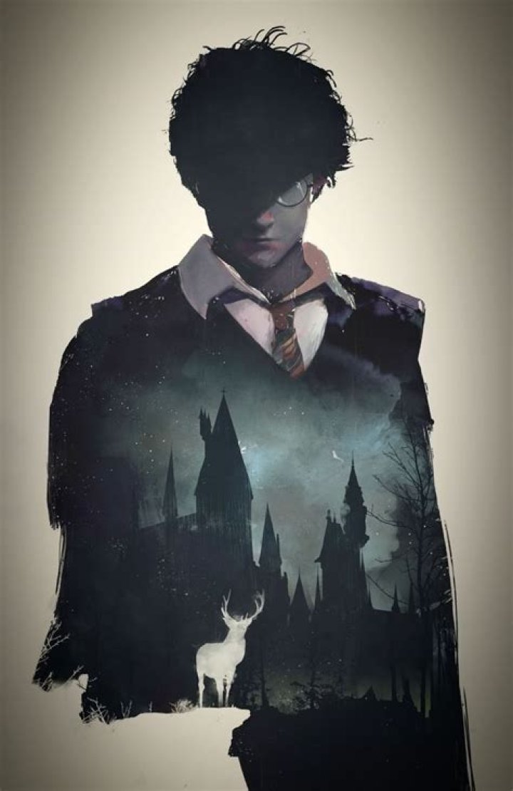 Pin em Harry Potter