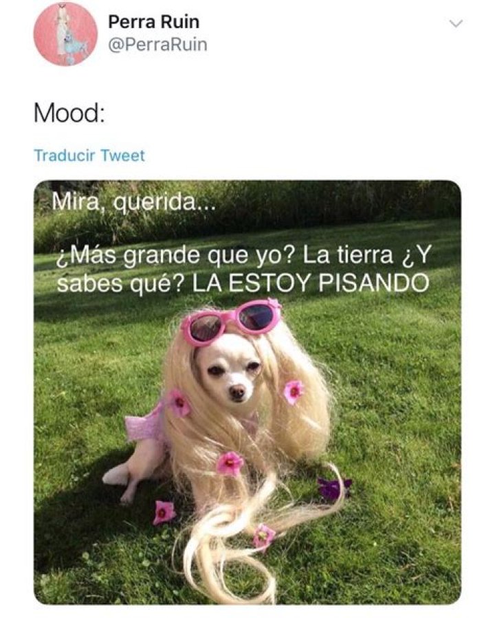 Pin en memes