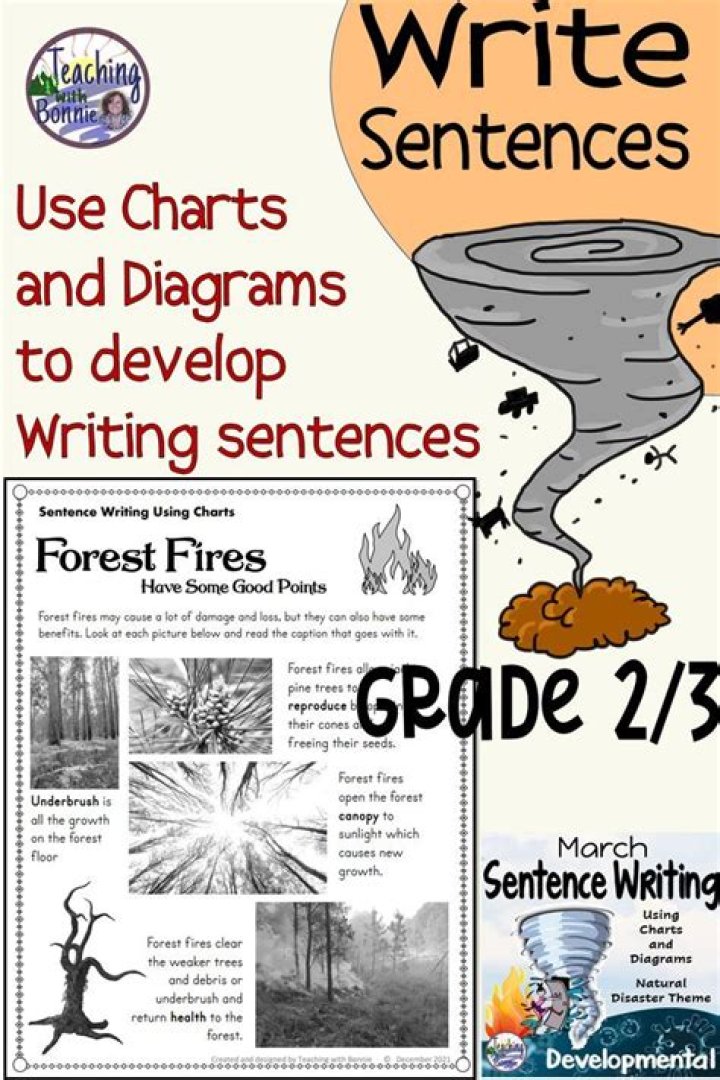 Pin on 2nd Grade Writing