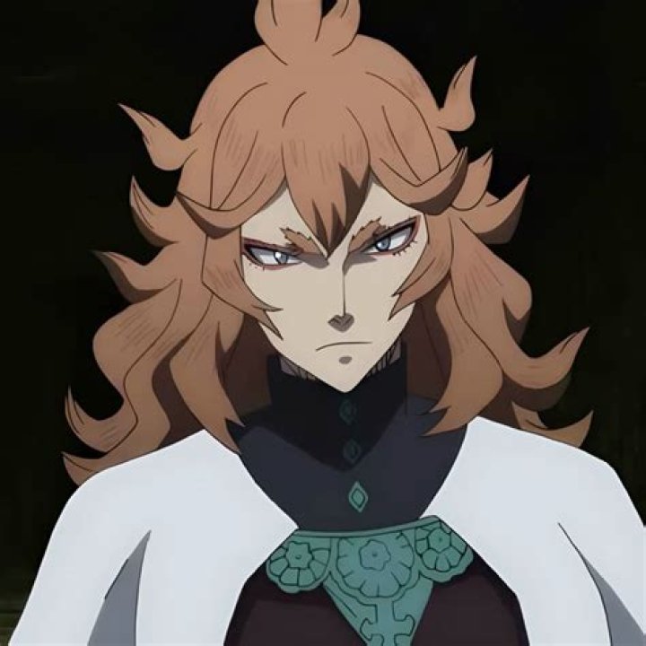 Pin on black Clover.