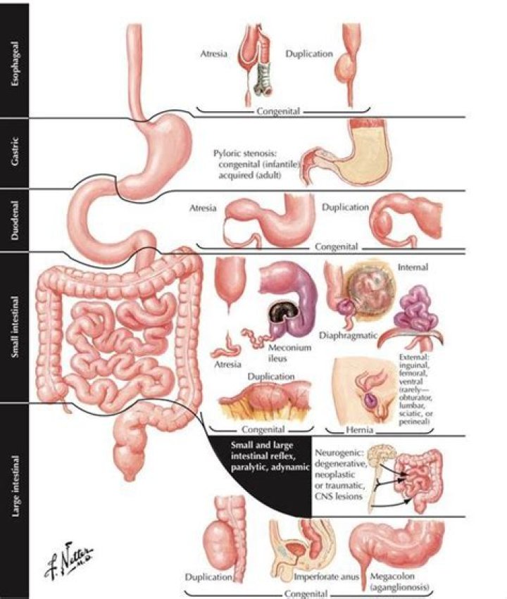 Pin on CUERPO Y SALUD