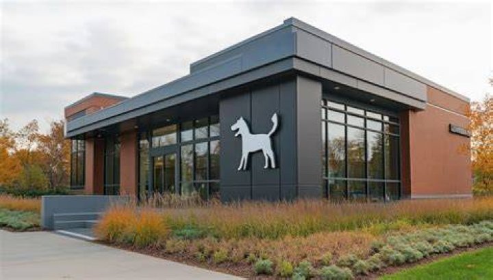 Pioneer Animal Clinic vets move into larger clinic Lifestyle & Youth
