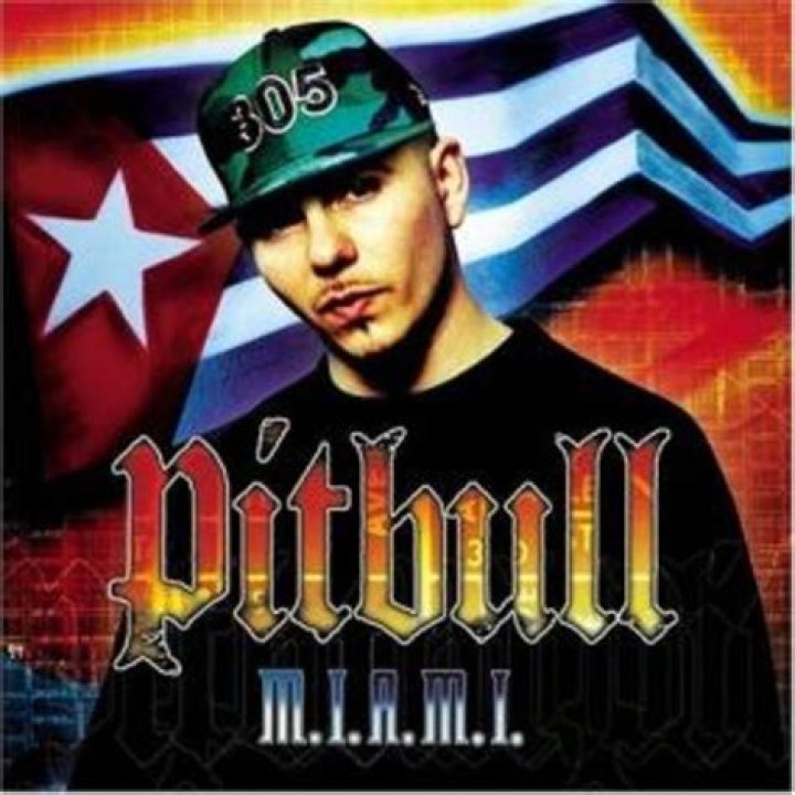 Pitbull Biography Pitbull rapper, Pitbulls, Pitbull albums
