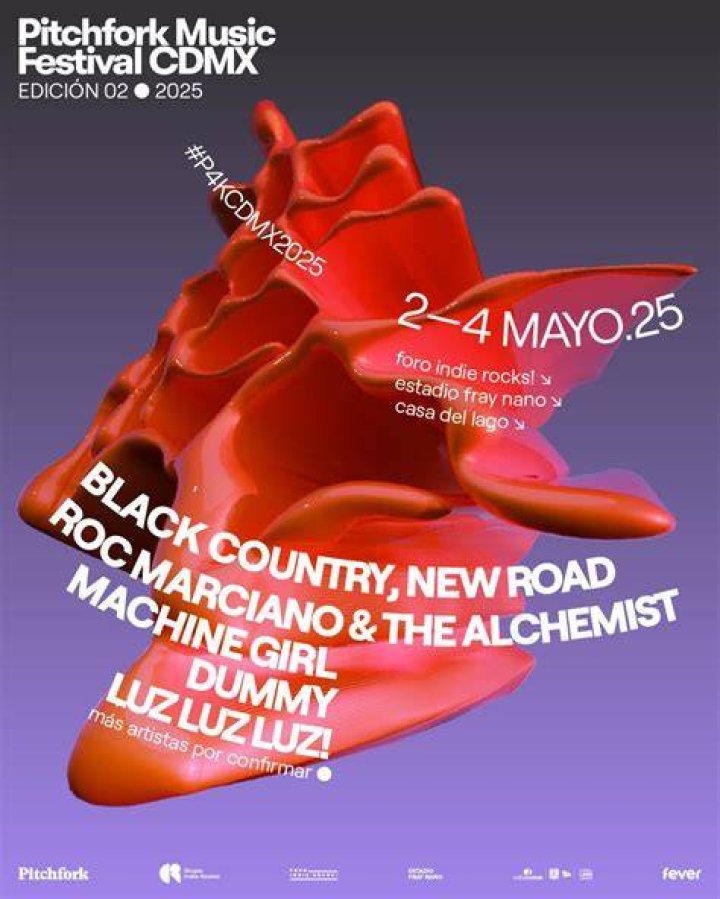 Pitchfork CDMX Festival 24' Tee jpegmafiamerch