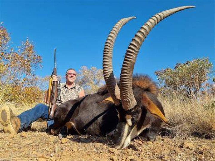 Plains Game Hunting In South Africa With KAROO WILD Safaris Page 4