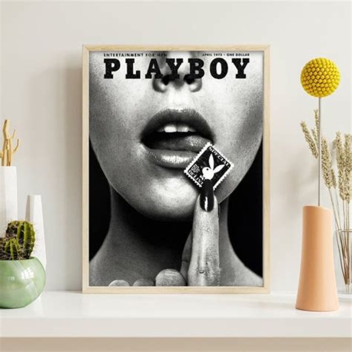 Playboy April 1970 Cover Print The Curious Desk