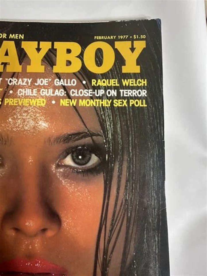 PLAYBOY MAGAZINE February 1977 Raquel Welch Star Stowe Etsy