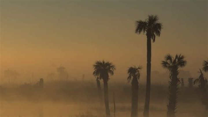 Plume of dust from the Sahara Desert of Africa Will Sweep the United