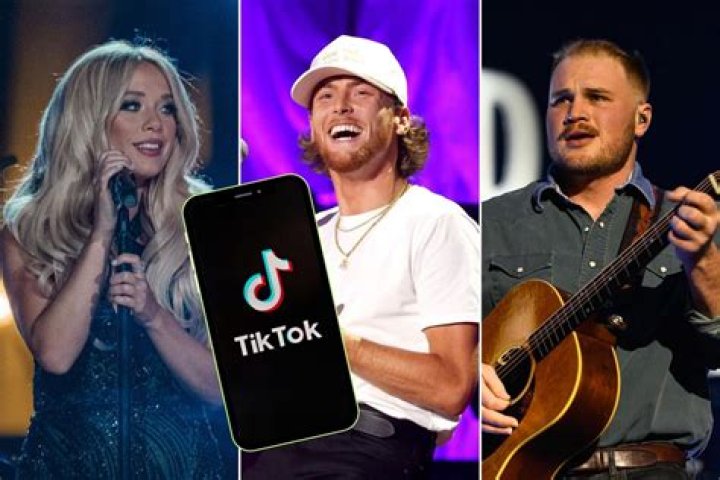 Popular Tiktok Country Songs 2024 Caryn Cthrine