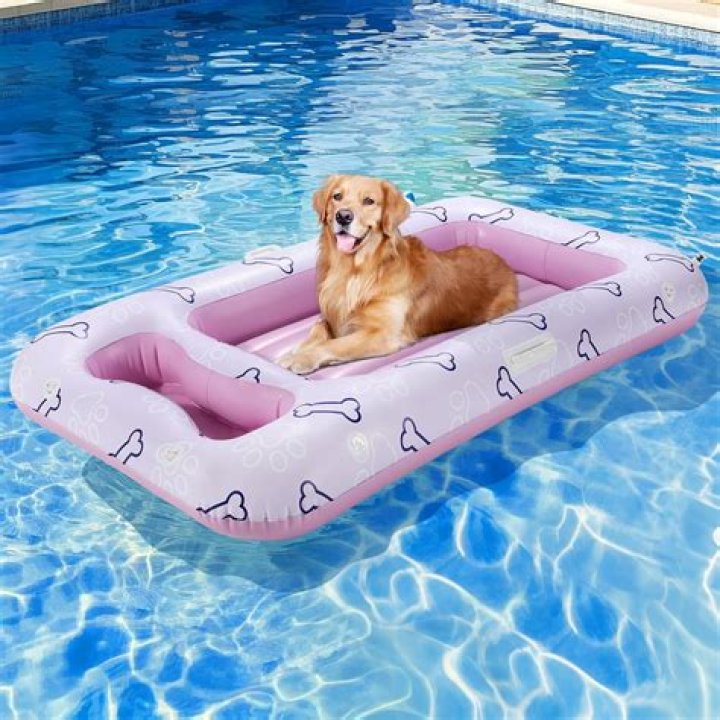 PRETZEL POOL FLOAT Dog pool floats, Cool pool floats, Swimming pool