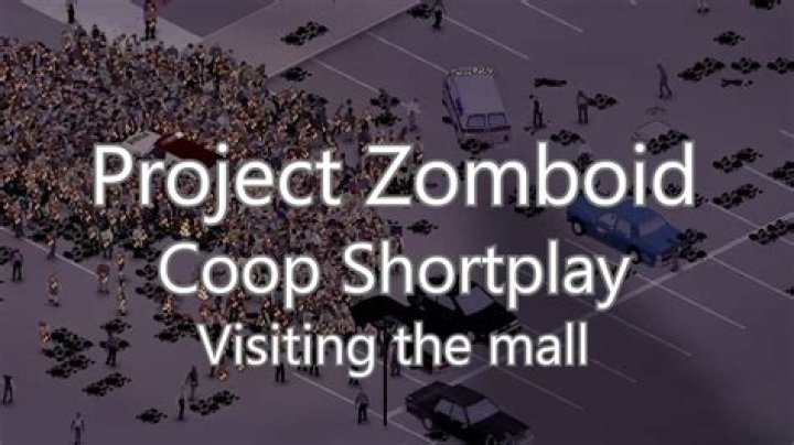 Project Zomboid coop meme YouTube