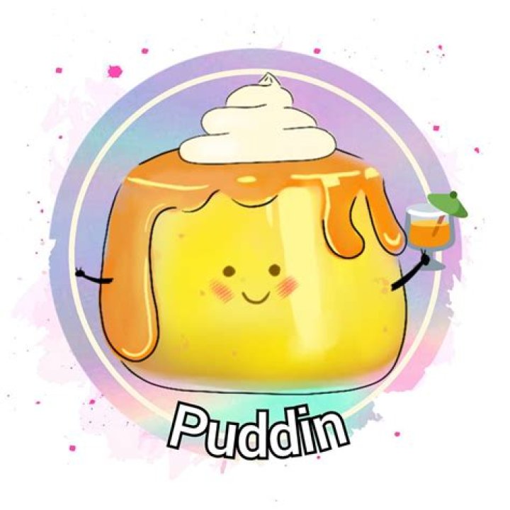 Puddin's Fab Shop YouTube