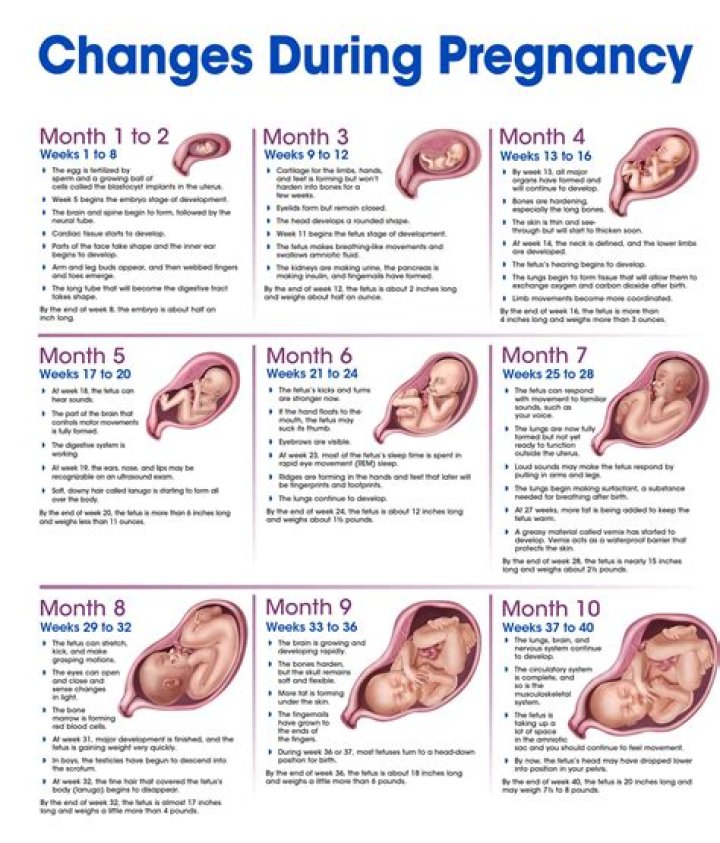 Rain Brown's Pregnancy Journey And Its Impact