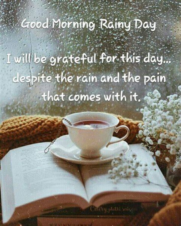 Rainy Morning Quotes, Good Morning Rainy Day, Good Morning Picture