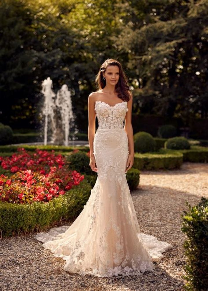 Randy Fenoli Wedding Dresses Adore Bridal Arizona