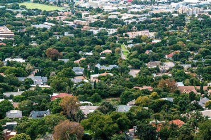 Rank Project Johannesburg