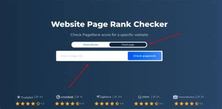 Rank website v&agrave; c&aacute;ch check rank website ch&iacute;nh x&aacute;c v&agrave; hiệu quả Người