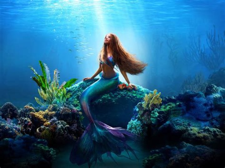 Rare pictures of Ariel Helwani&rsquo;s family (wife, kids and parents