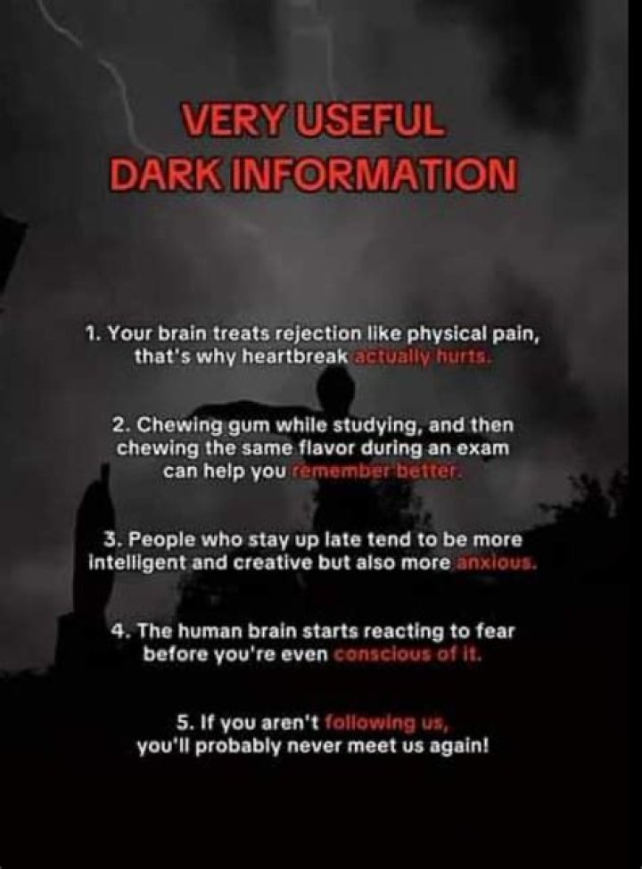 Real Facts, Fun Facts, Dark Humor Jokes, Daily Facts, Did You Know