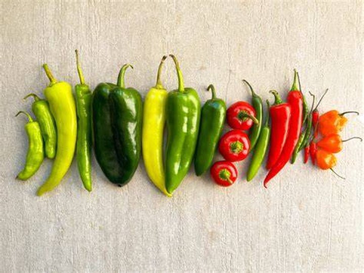Red Hot Chili Peppers multitrack master isolated tracks vocal only