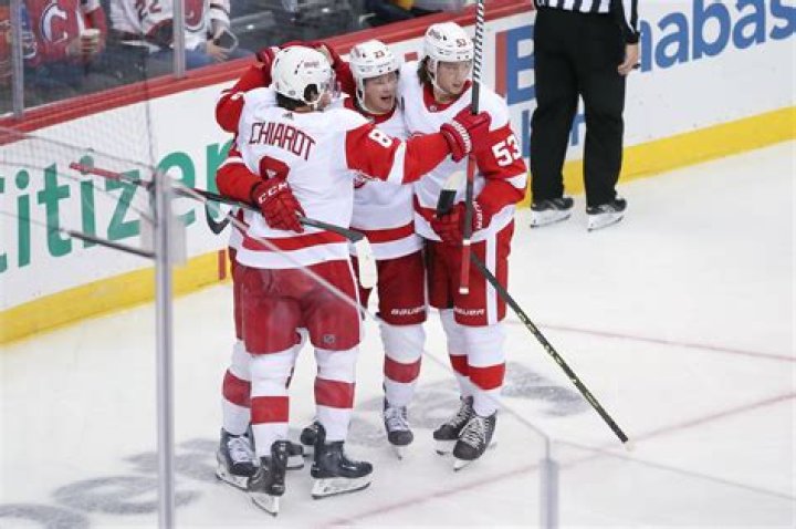 Red Wings to give out Zamboni gravy boats on Thanksgiving Eve