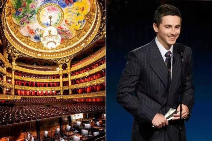 Regardez Timoth&eacute;e Chalamet, d&eacute;cha&icirc;n&eacute;, faire le show sur du Nicki Minaj