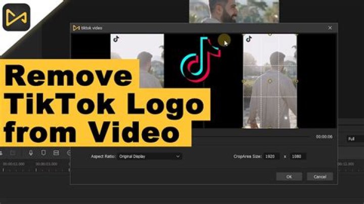 Remove tiktok logo from video online plesupreme