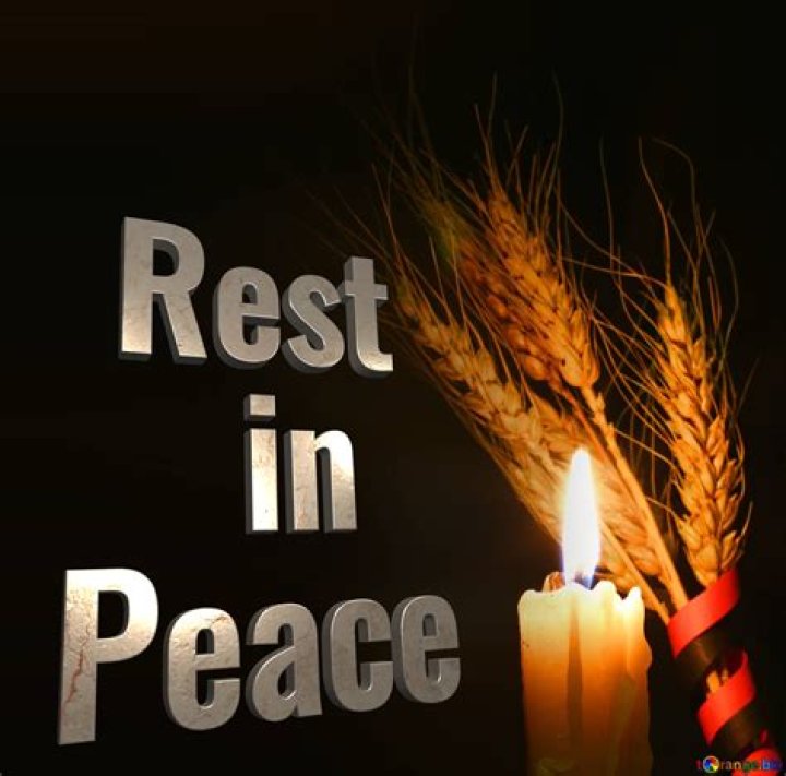 Rest in Peace from Leonard Nimoy's Life in Photos E! News