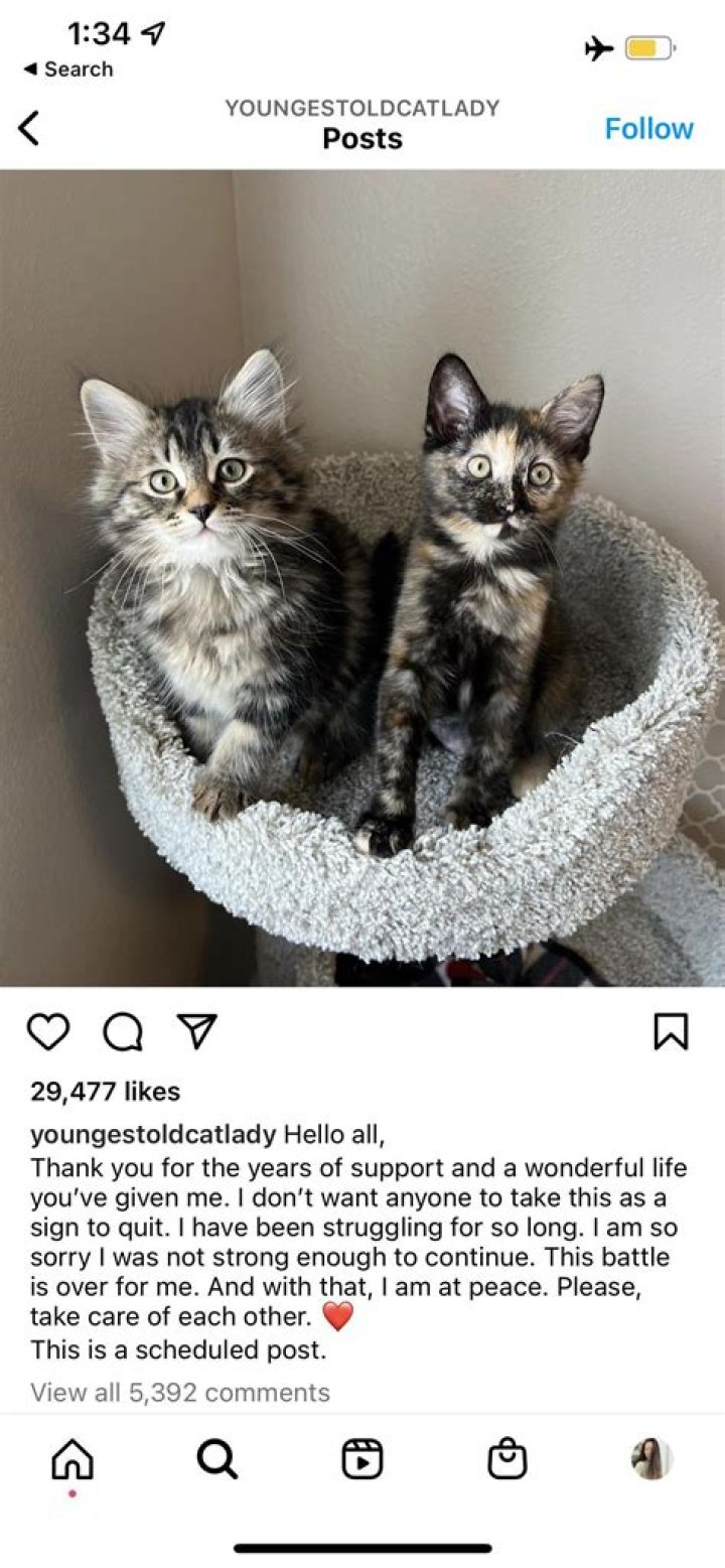 RIP to Ashley Morrison, youngestoldcatlady cat rescuer from Seattle r