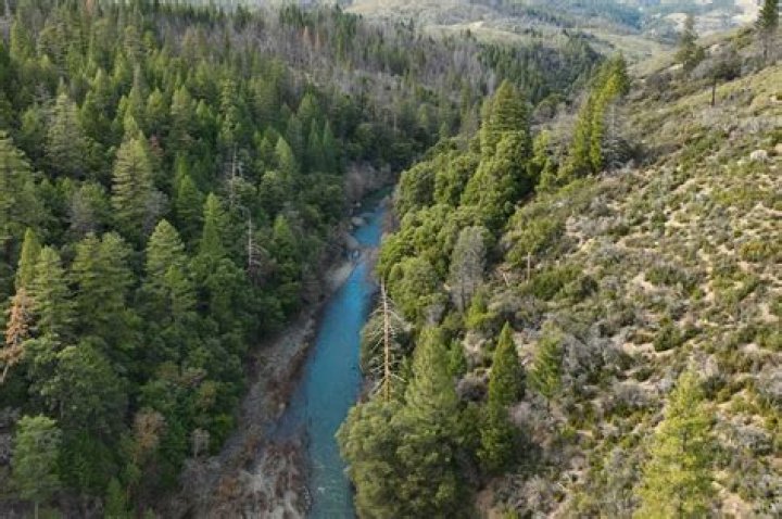 River Lynn r/iliketeal