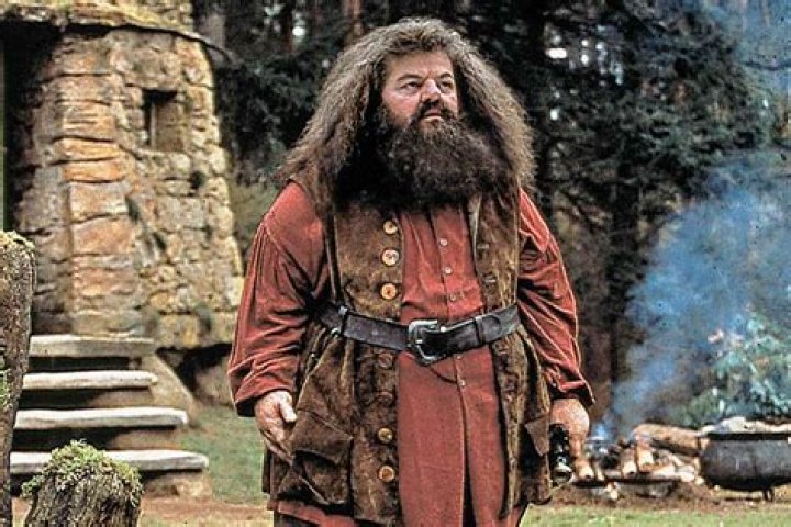Robbie Coltrane, Harry Potter's Beloved Hagrid, Dead At 72 Daniel
