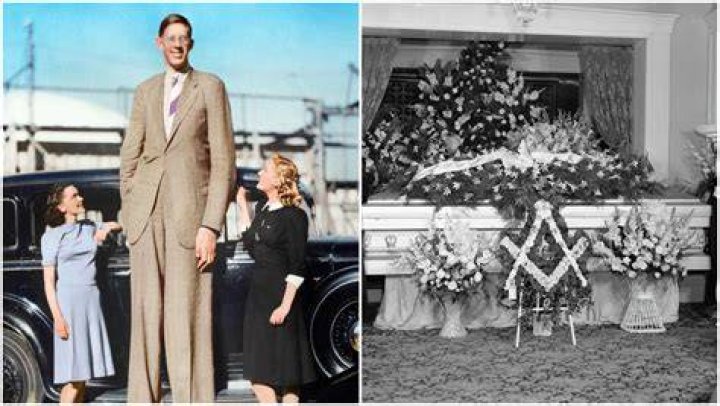 Robert Wadlow Cause of Death The Tallest Man ever