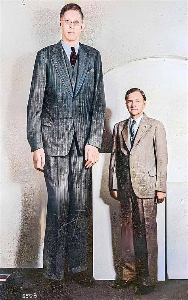 Robert Wadlow The Tallest Man in History avocadoposts