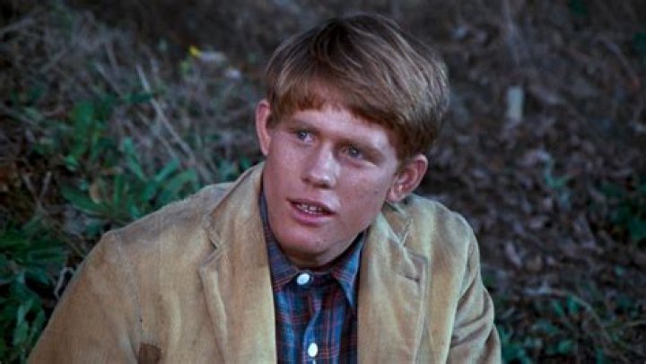 Ron Howard Biograf&iacute;a, pel&iacute;culas, series, fotos, v&iacute;deos y noticias