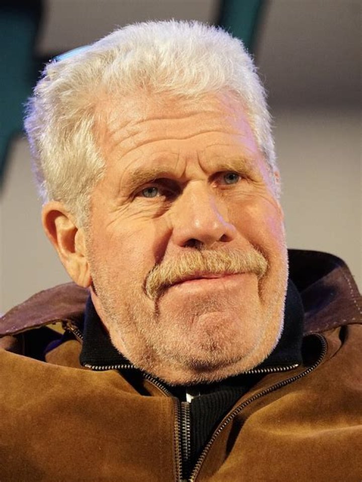Ron Perlman Profile Images &mdash; The Movie Database (TMDB)